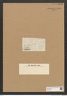Diatomeae indet. Zeichnungen Sammlung Grunow Nr. 6282 (NHMW-BOT-W0374896)